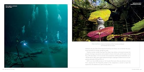 100 Dives of a Lifetime: The World's Ultimate Underwater Destinations [Idioma Inglés]