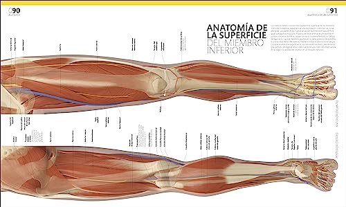 El gran libro del cuerpo humano. Edición actualizada y ampliada: La guía visual definitiva (Enciclopedia visual)