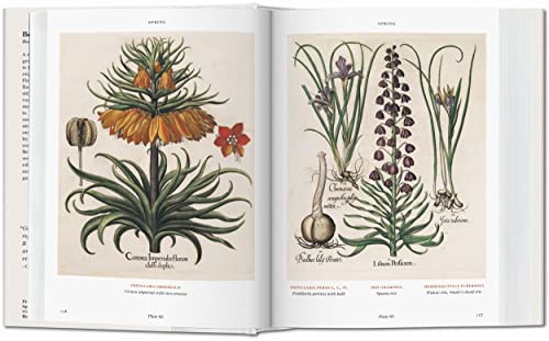Basilius Besler. Florilegium. The Book of Plants: Bu (Bibliotheca Universalis)