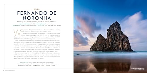 100 Dives of a Lifetime: The World's Ultimate Underwater Destinations [Idioma Inglés]