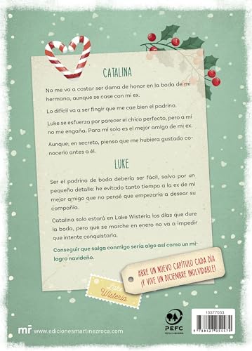 Un amor de diciembre: Una novela de adviento