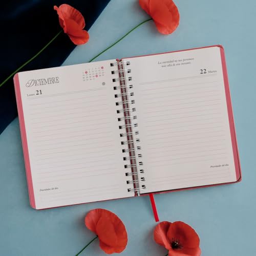 Agenda anual diaria 2026 Sara Búho (TANTANFAN)