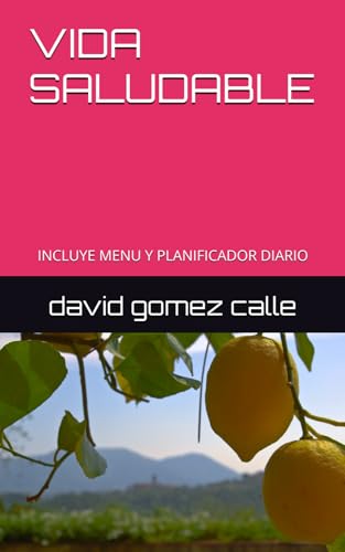 VIDA SALUDABLE: INCLUYE MENU Y PLANIFICADOR DIARIO