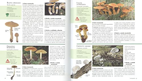 Atlas Ilustrado De Las Setas