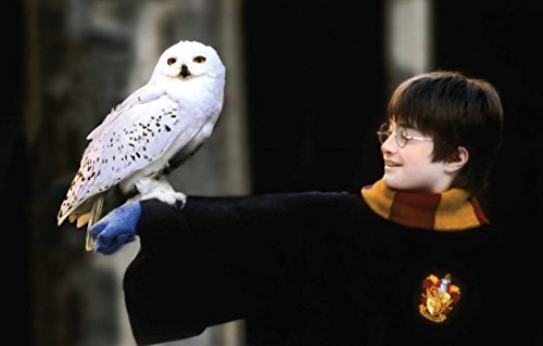 Harry Potter: The Postcard Collection