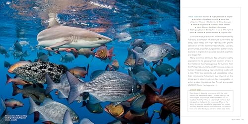 100 Dives of a Lifetime: The World's Ultimate Underwater Destinations [Idioma Inglés]