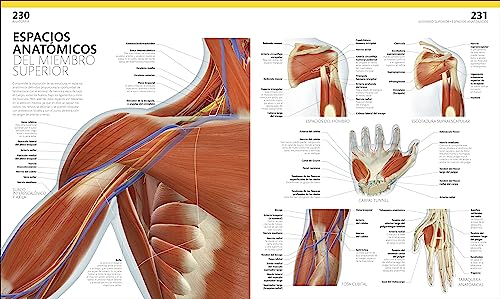 El gran libro del cuerpo humano. Edición actualizada y ampliada: La guía visual definitiva (Enciclopedia visual)