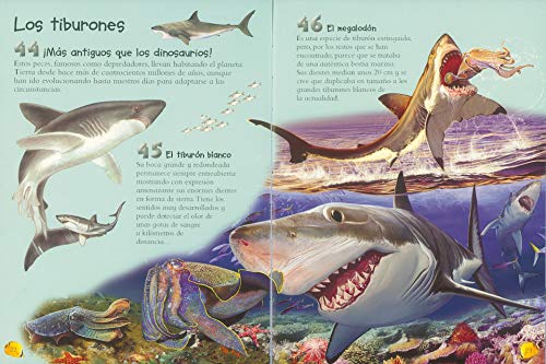 Animales acuáticos y tiburones (101 cosas que deberías saber sobre)