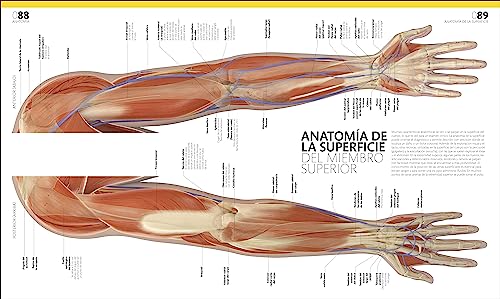 El gran libro del cuerpo humano. Edición actualizada y ampliada: La guía visual definitiva (Enciclopedia visual)
