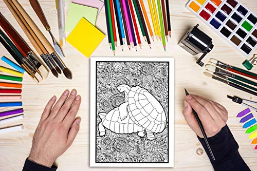 Animales follando: Un libro de colorear para adultos