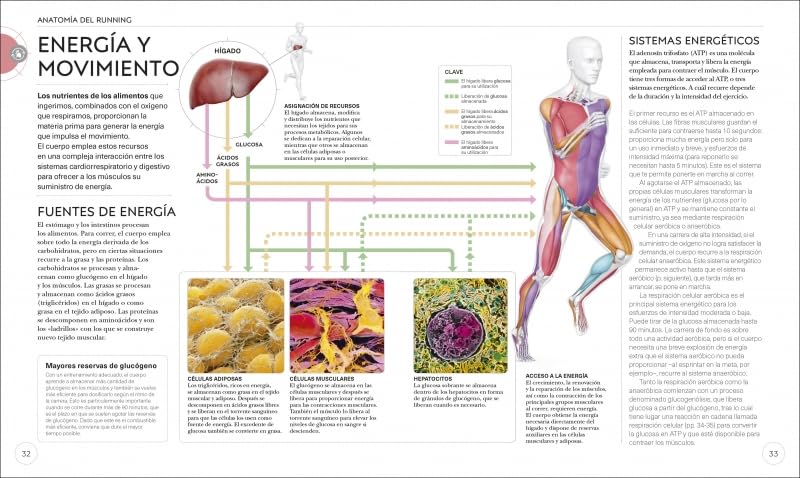 Running: Mejora tu técnica, evita lesiones, perfecciona tu entrenamiento (Deportes DK)