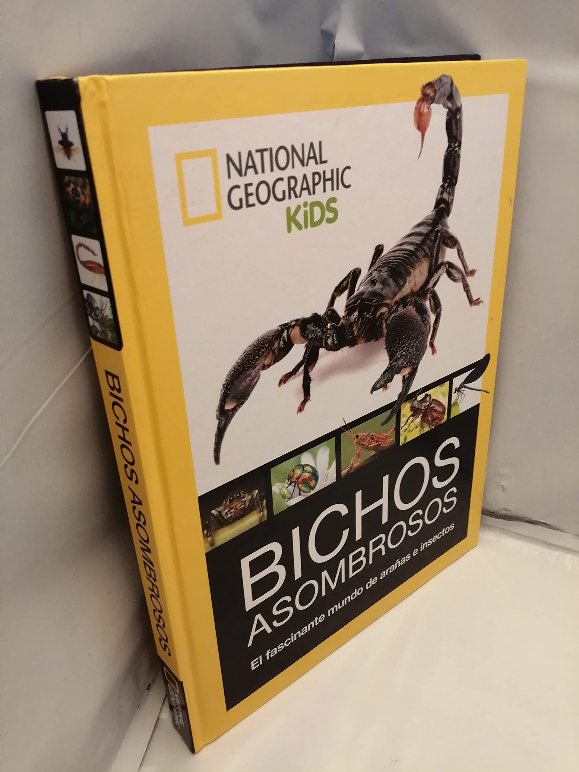 Bichos asombrosos. El fascinante mundo de arañas e insectos (National Geographic Kids)