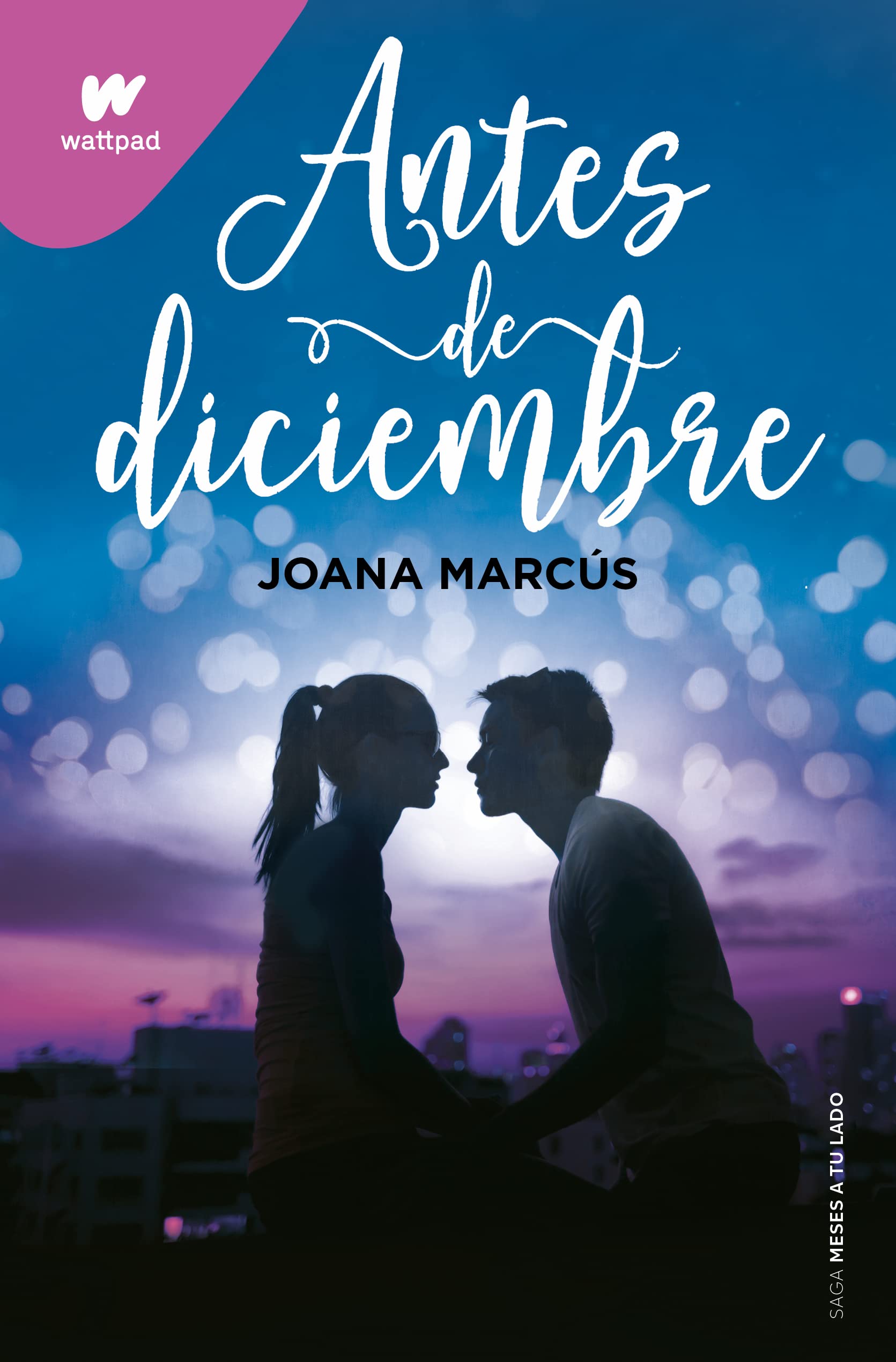 Antes de diciembre (edición revisada por la autora) (Meses a tu lado 1) (Wattpad)