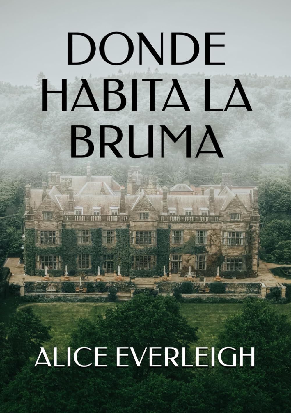 DONDE HABITA LA BRUMA