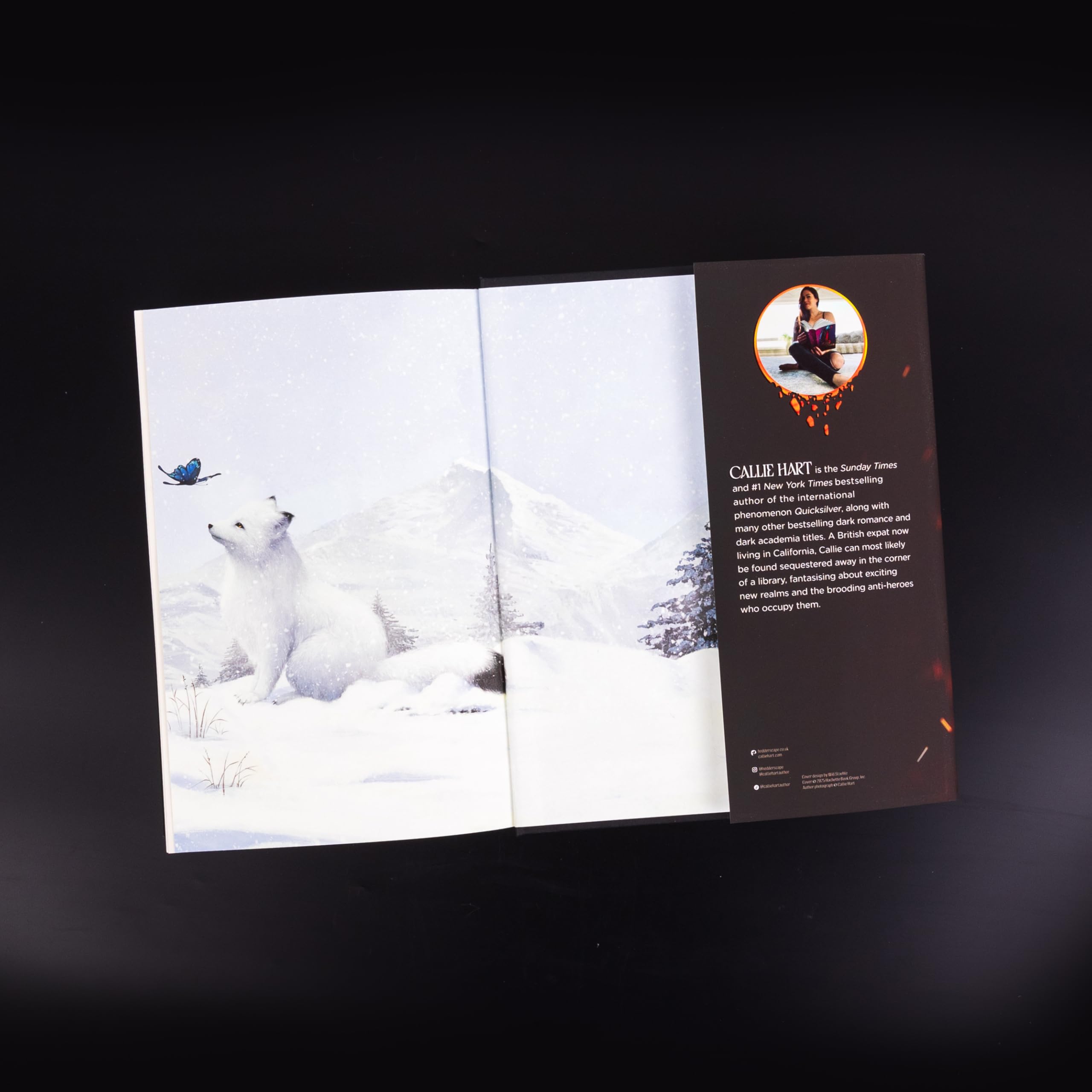 Brimstone: sequel to the addictive enemies-to-lovers romantasy global sensation QUICKSILVER: 2 (Fae and alchemy, 2)