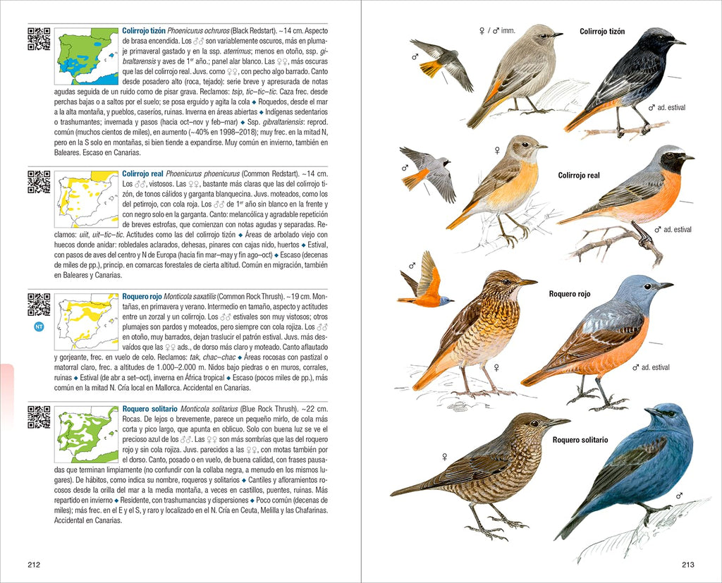 Aves de España - 4ª edición (Guías de campo)