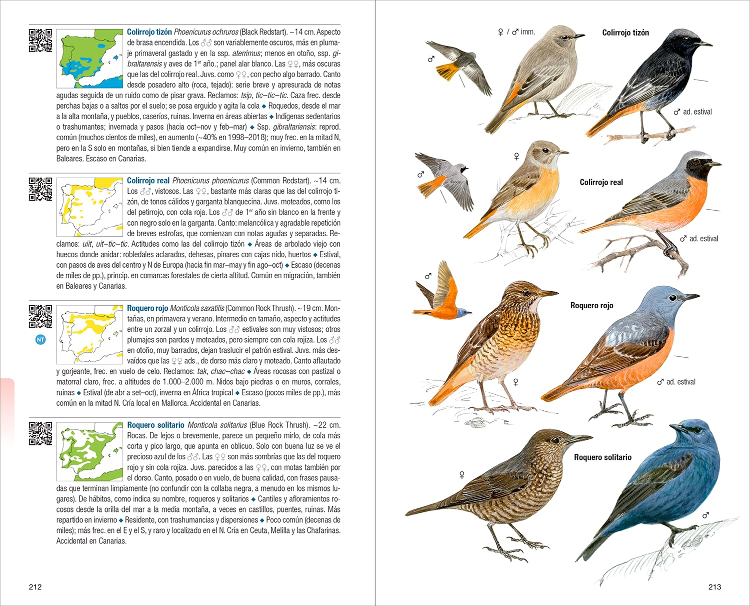 Aves de España - 4ª edición (Guías de campo)