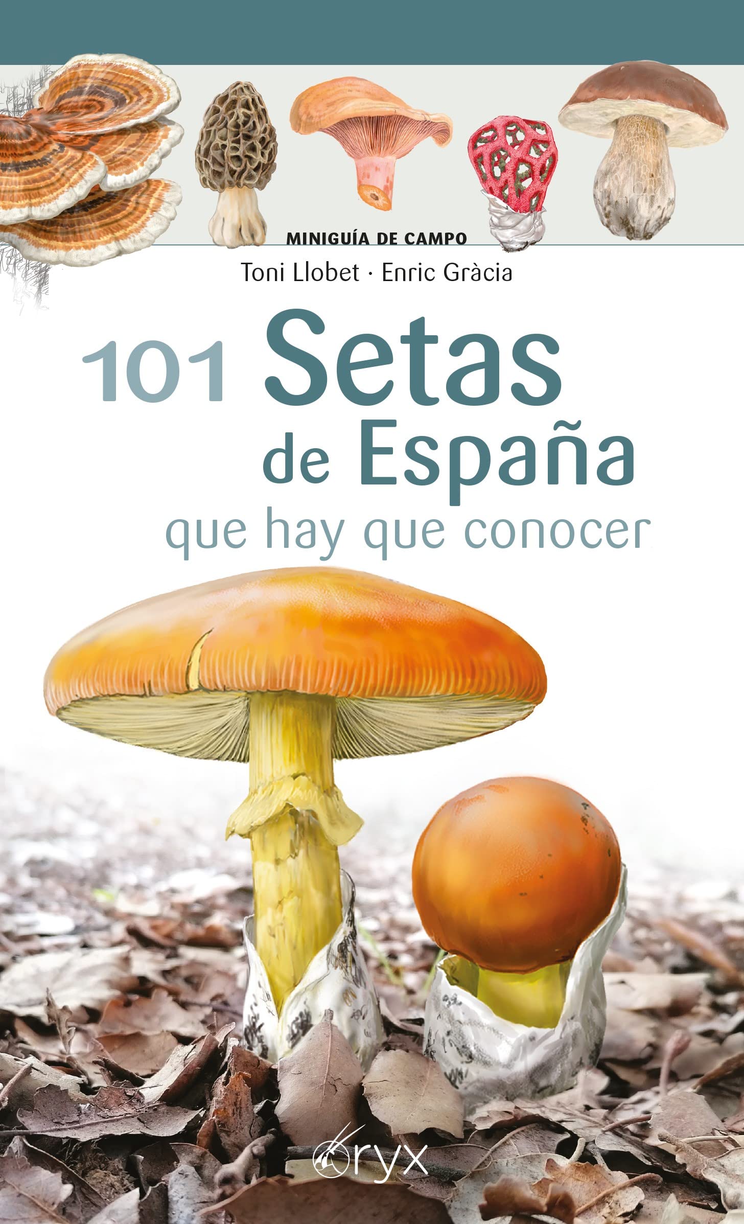 101 Setas De España - Que Hay Que Conocer (Miniguía de campo)
