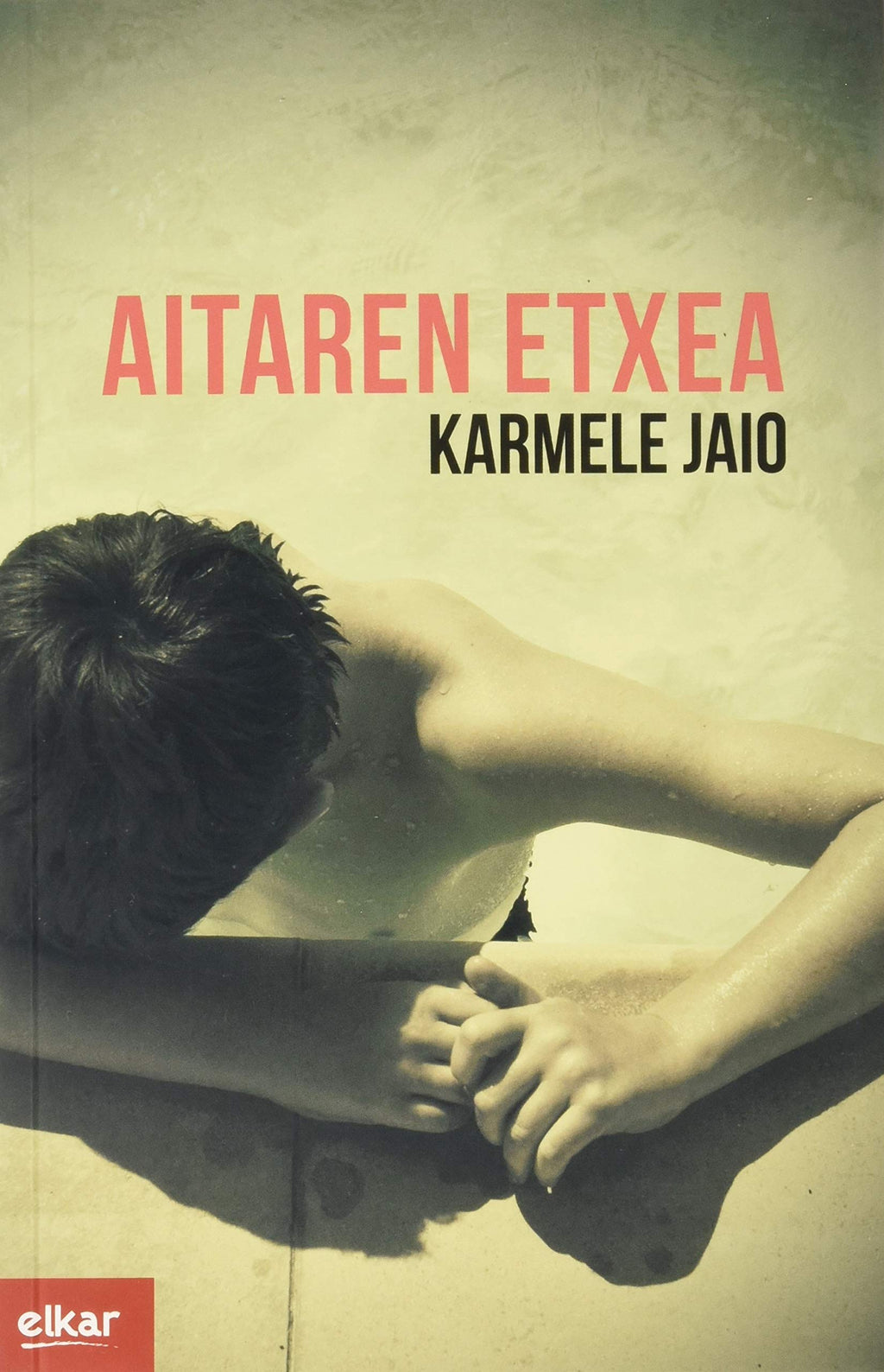 Aitaren etxea: 374 (Literatura)