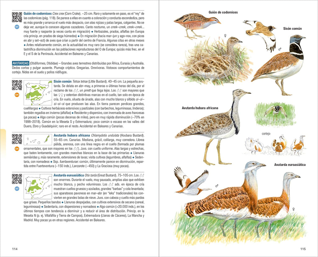 Aves de España - 4ª edición (Guías de campo)