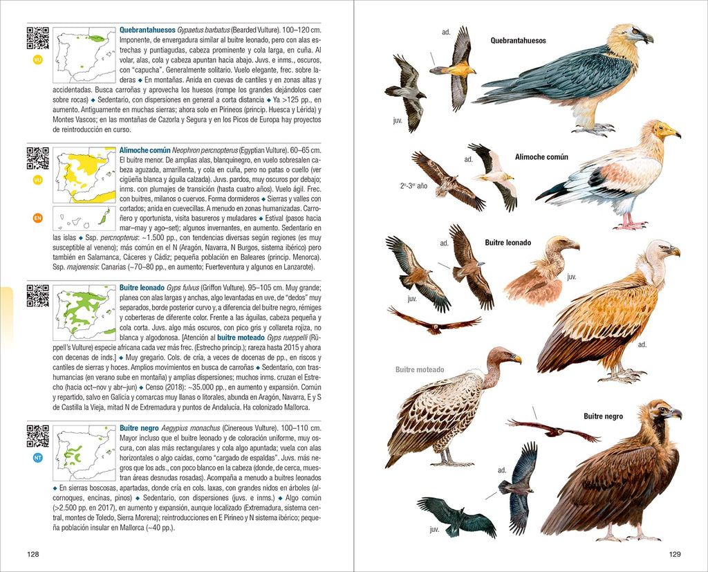 Aves de España - 4ª edición (Guías de campo)
