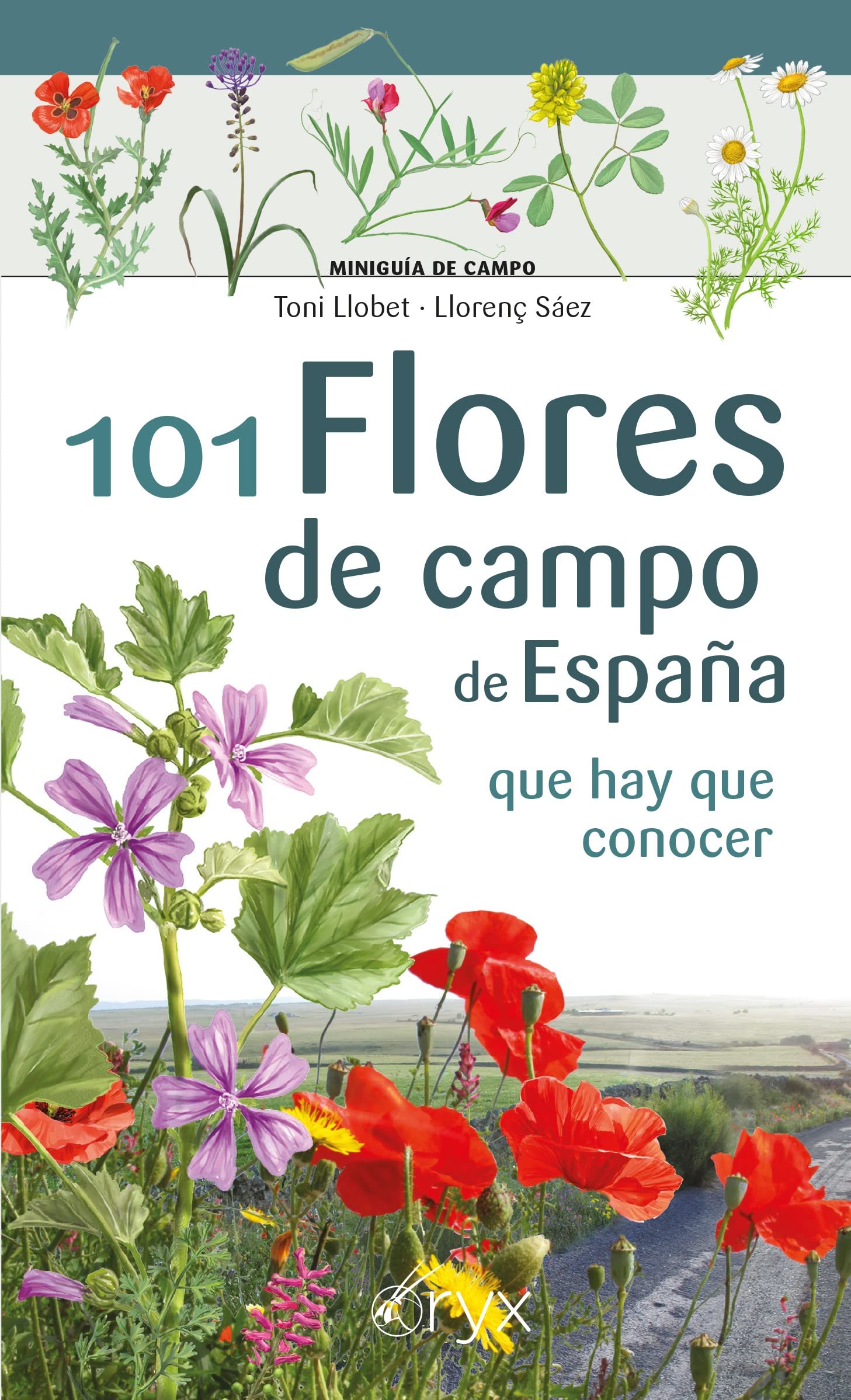 101 Flores De Campo De España - Que Hay Que Conocer (Miniguía de campo)