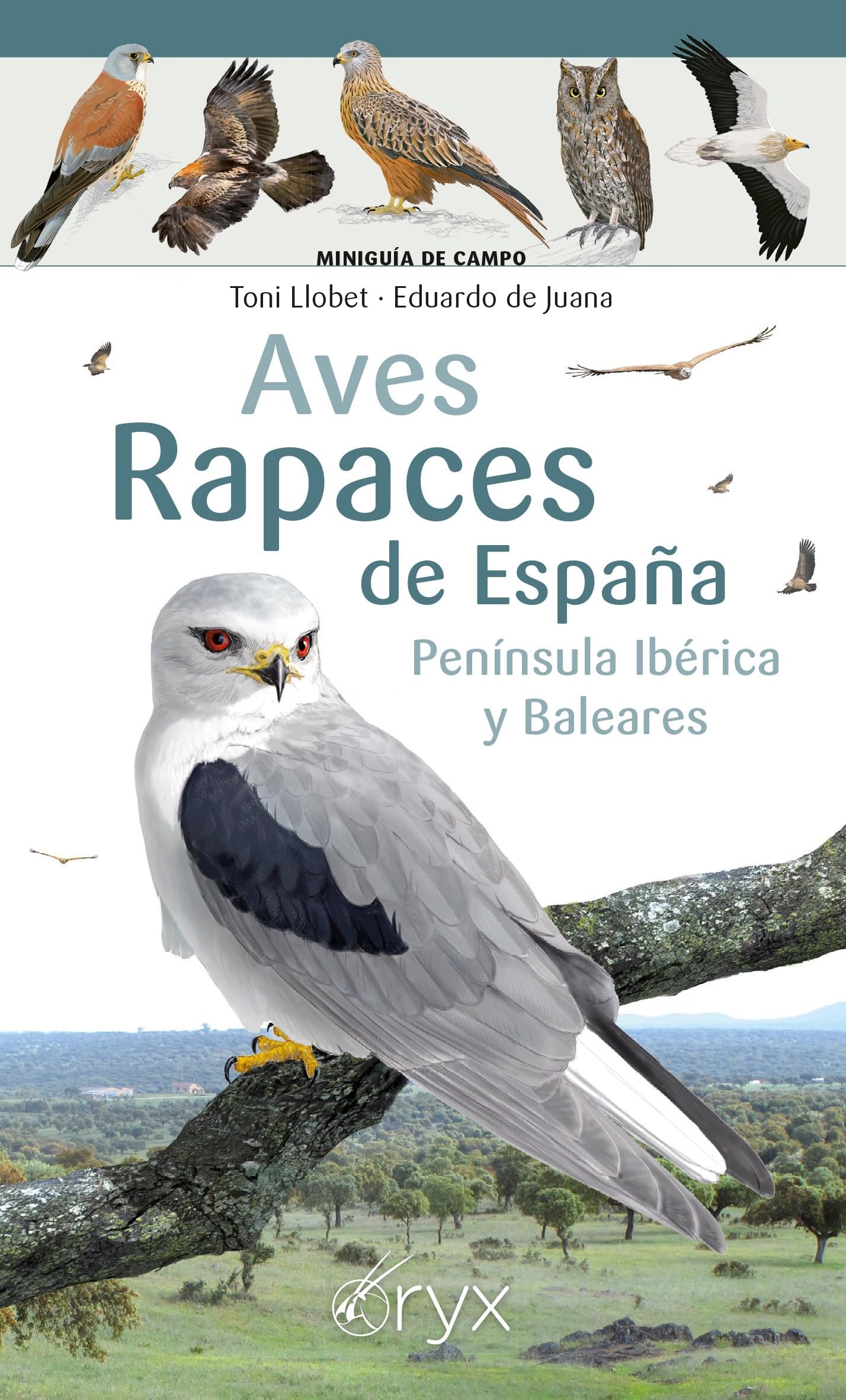 Aves Rapaces De España, Peninsula Iberica Y Baleares (Miniguía de campo)