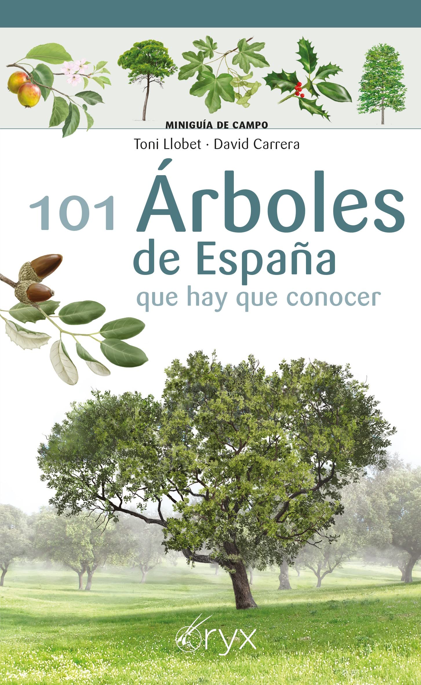 101 Arboles De España - Que Hay Que Conocer (Miniguía de campo)